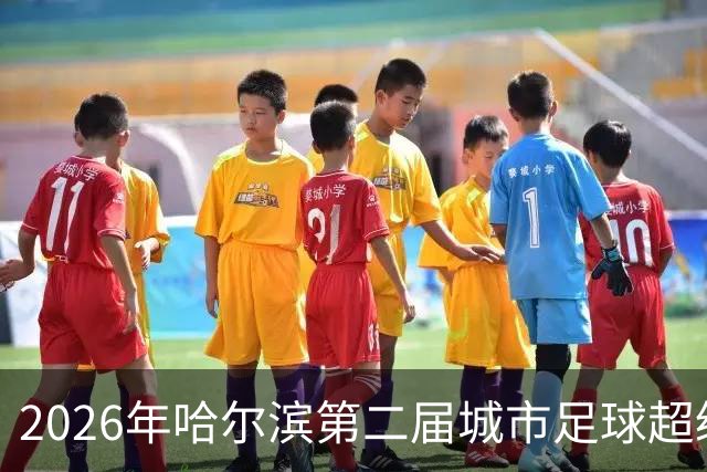 2026年哈尔滨第二届城市足球超级杯赛开赛